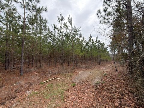 Bff Ii 3 J C Barefoot Road Patrick SC 29584