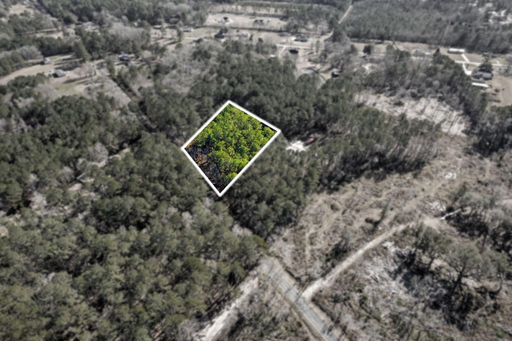 Photo of 0 Yaremich Drive, Moncks Corner, SC 29461 (MLS # 26001580)