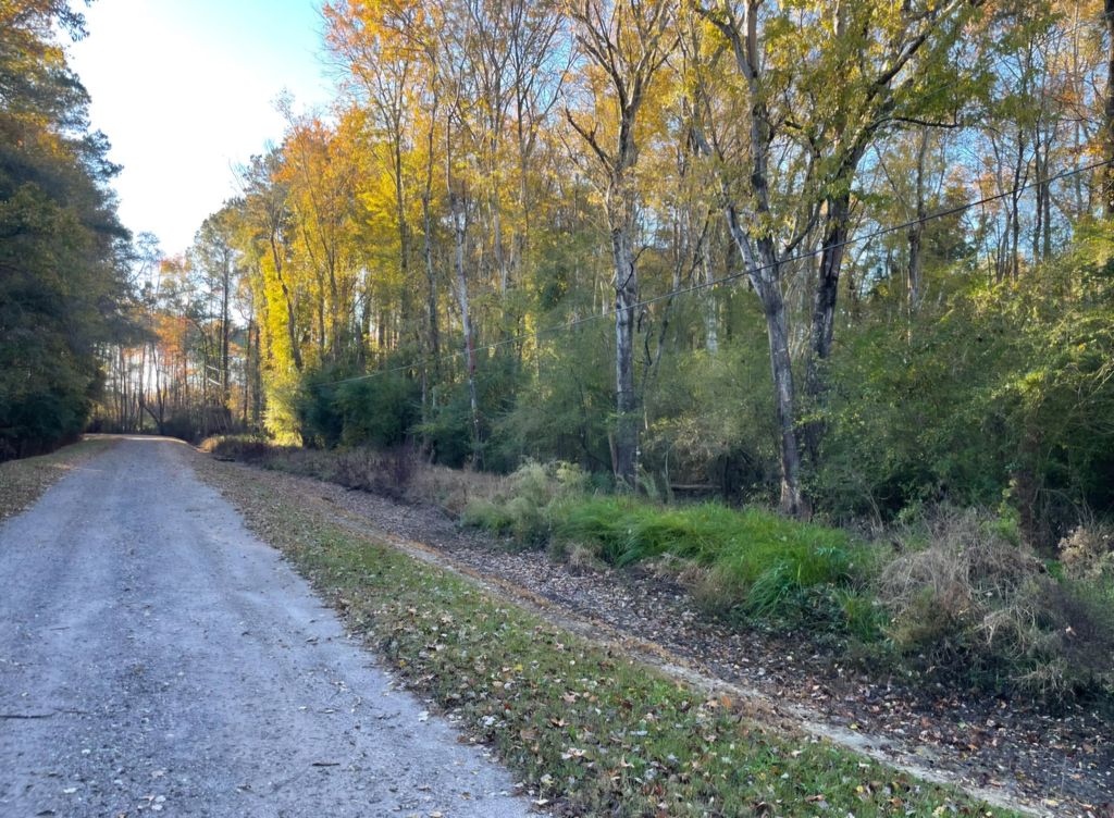 Photo of 00 Dig It Rd, Summerville, SC 29483 (MLS # 25030750)