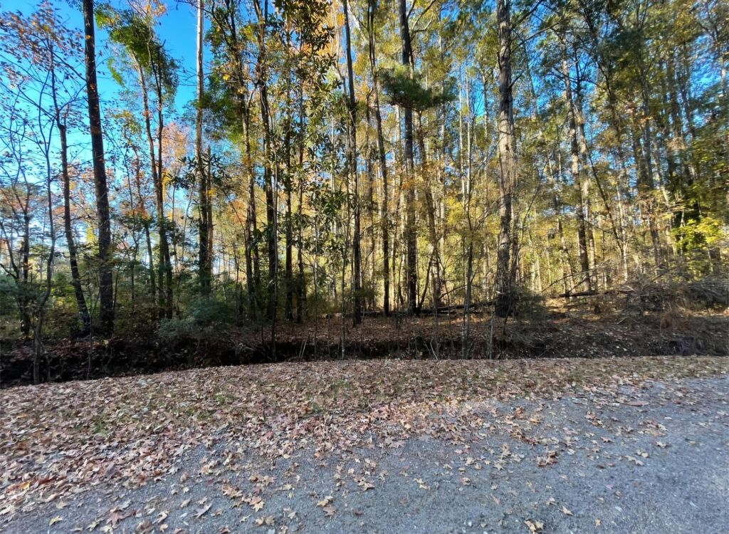 Photo of 00 Dig It Rd, Summerville, SC 29483 (MLS # 25030750)