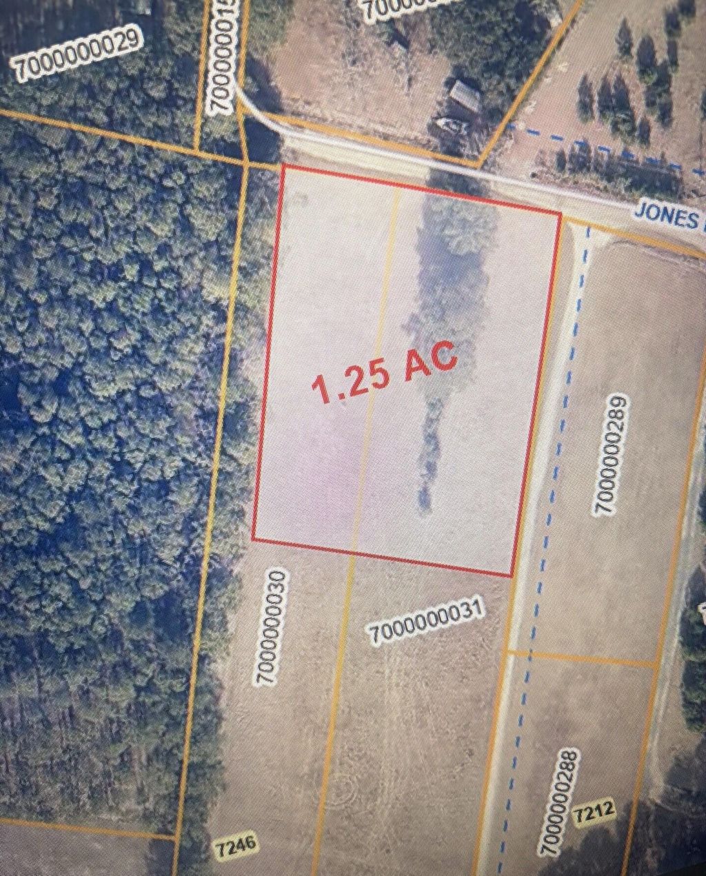 Photo of 0 Jones Road, Awendaw, SC 29429 (MLS # 26014712)