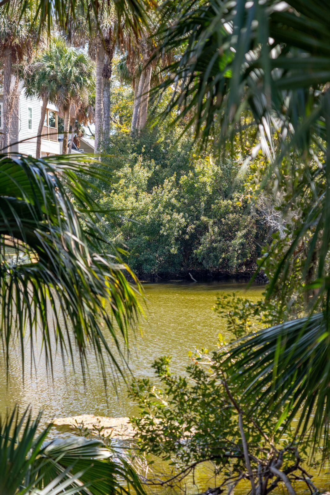 806 Jungle Road