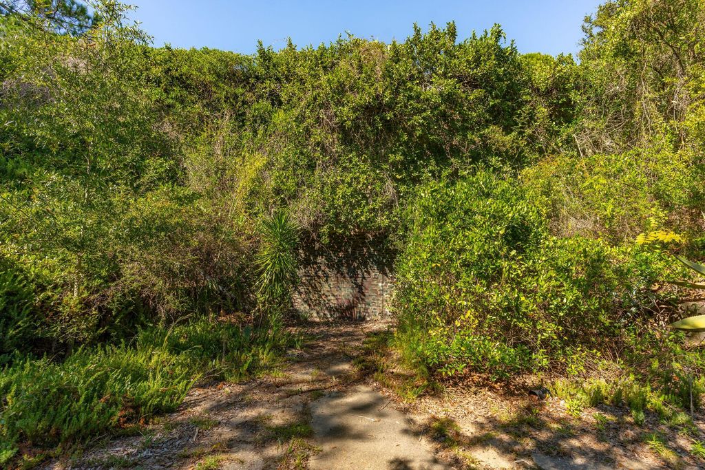 Photo of 3019 Ion Avenue, Sullivans Island, SC 29482 (MLS # 25029593)