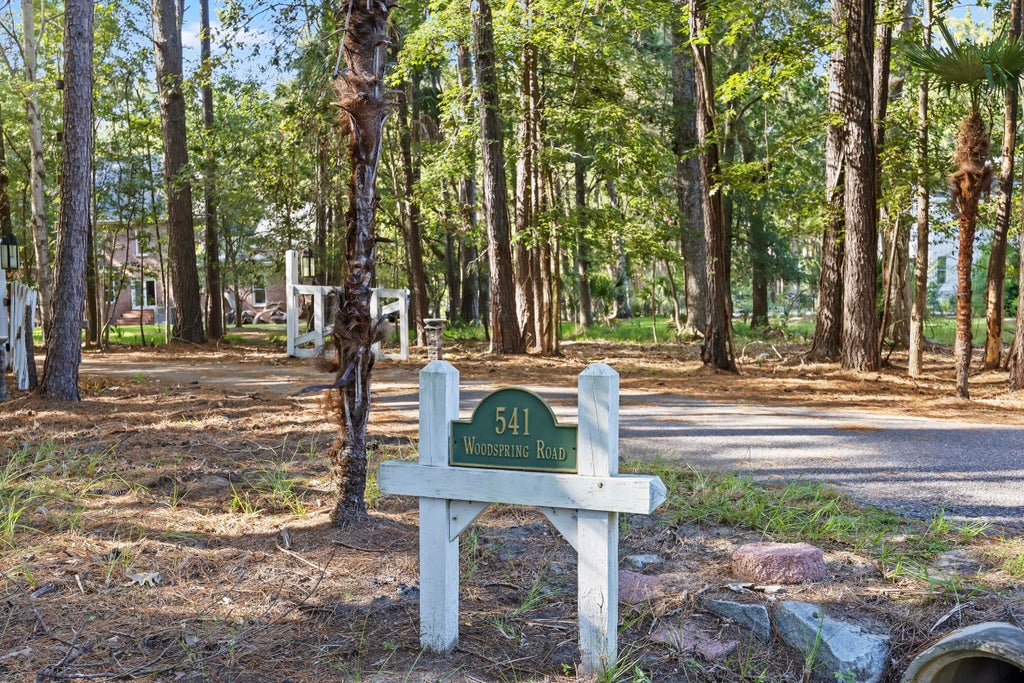 Photo of 541 Woodspring Road, Mount Pleasant, SC 29466 (MLS # 26026594)
