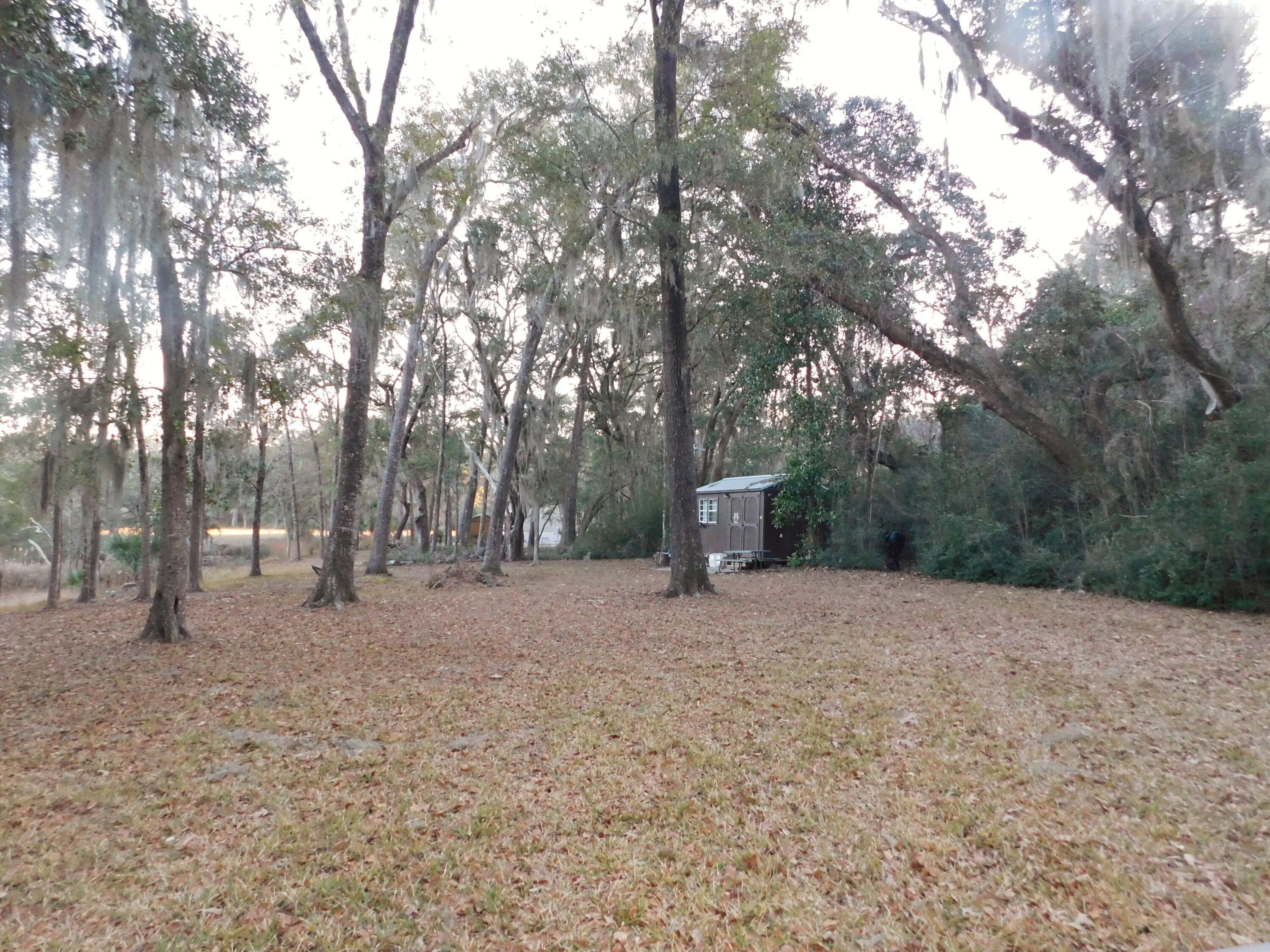 Lot 4 Edisto Oak Lane