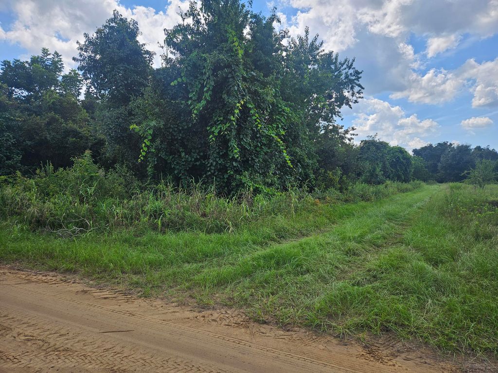 Photo of 0 Jenkins Farm Road, Johns Island, SC 29455 (MLS # 25019361)