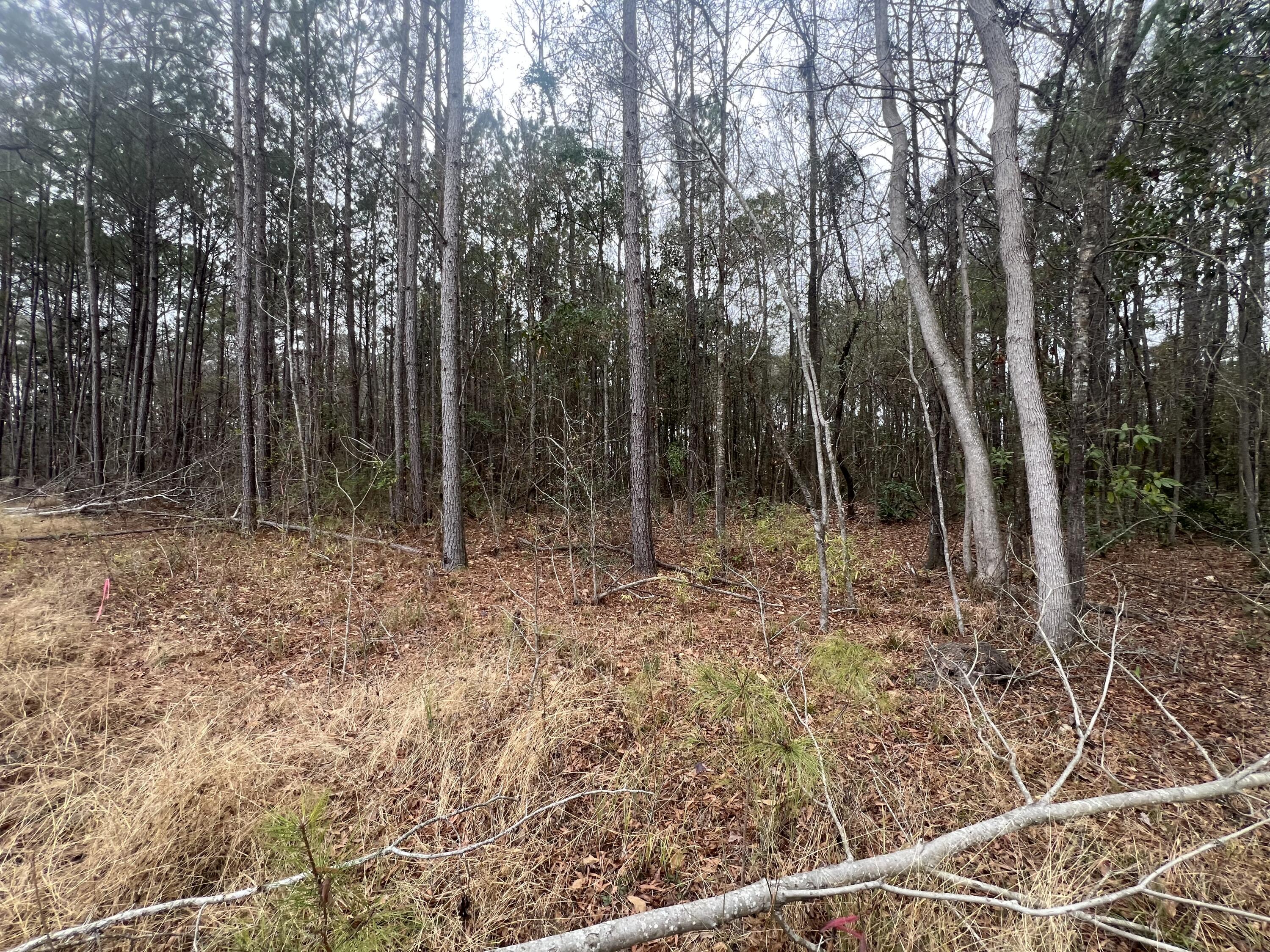 0 Hunters Ridge Lane Lane