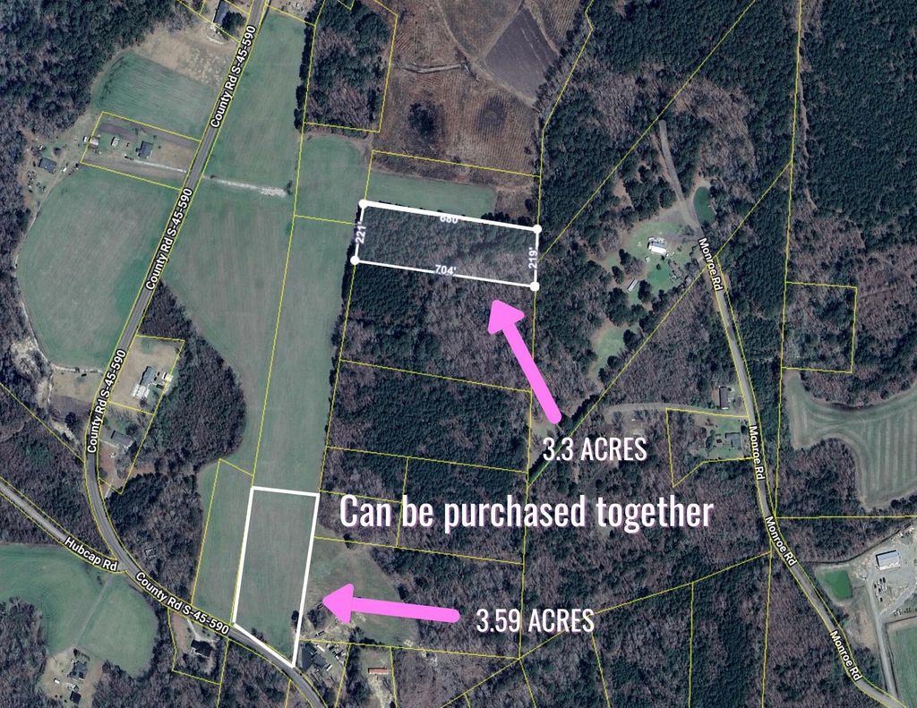 Photo of 0 Pinckney Road, Kingstree, SC 29556 (MLS # 25030919)