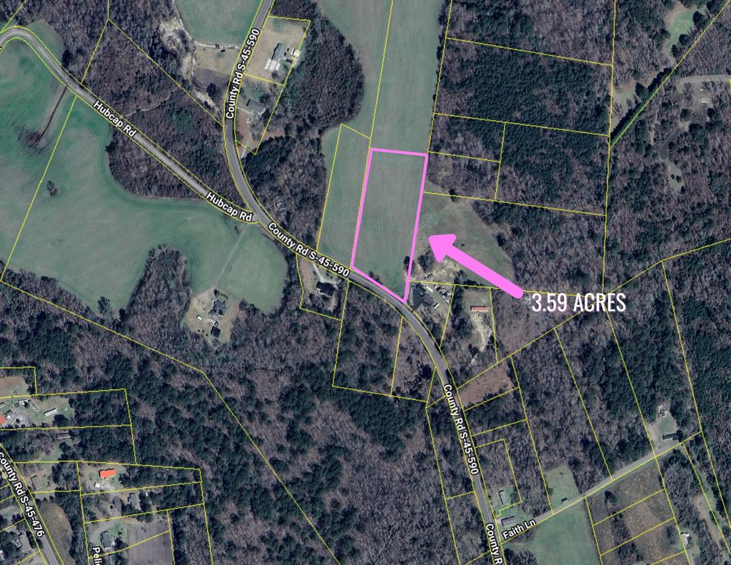 Photo of 0 Pinckney Road, Kingstree, SC 29556 (MLS # 25030919)