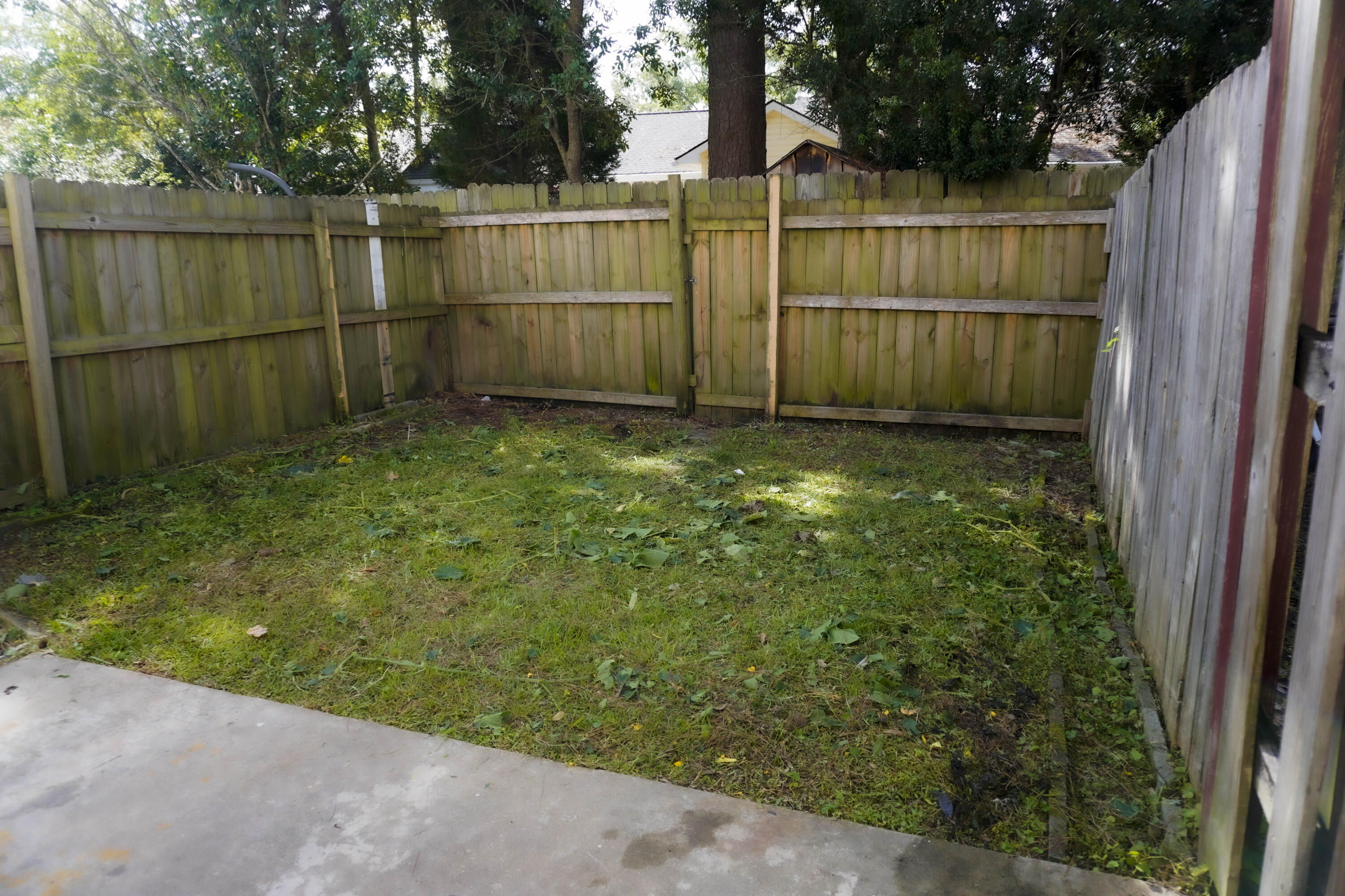 241 Pine Shadow Drive