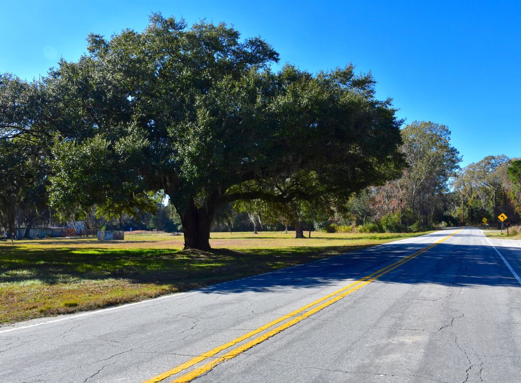 Photo of 6721 Toogoodoo Road, Hollywood, SC 29449 (MLS # 25032338)