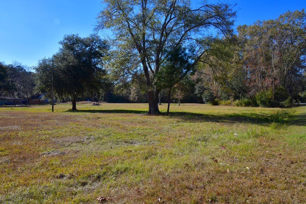 Photo of 6721 Toogoodoo Road, Hollywood, SC 29449 (MLS # 25032338)