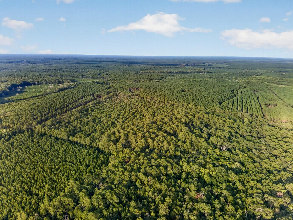 Photo of 0 Greenwood Road, Adams Run, SC 29426 (MLS # 26023904)