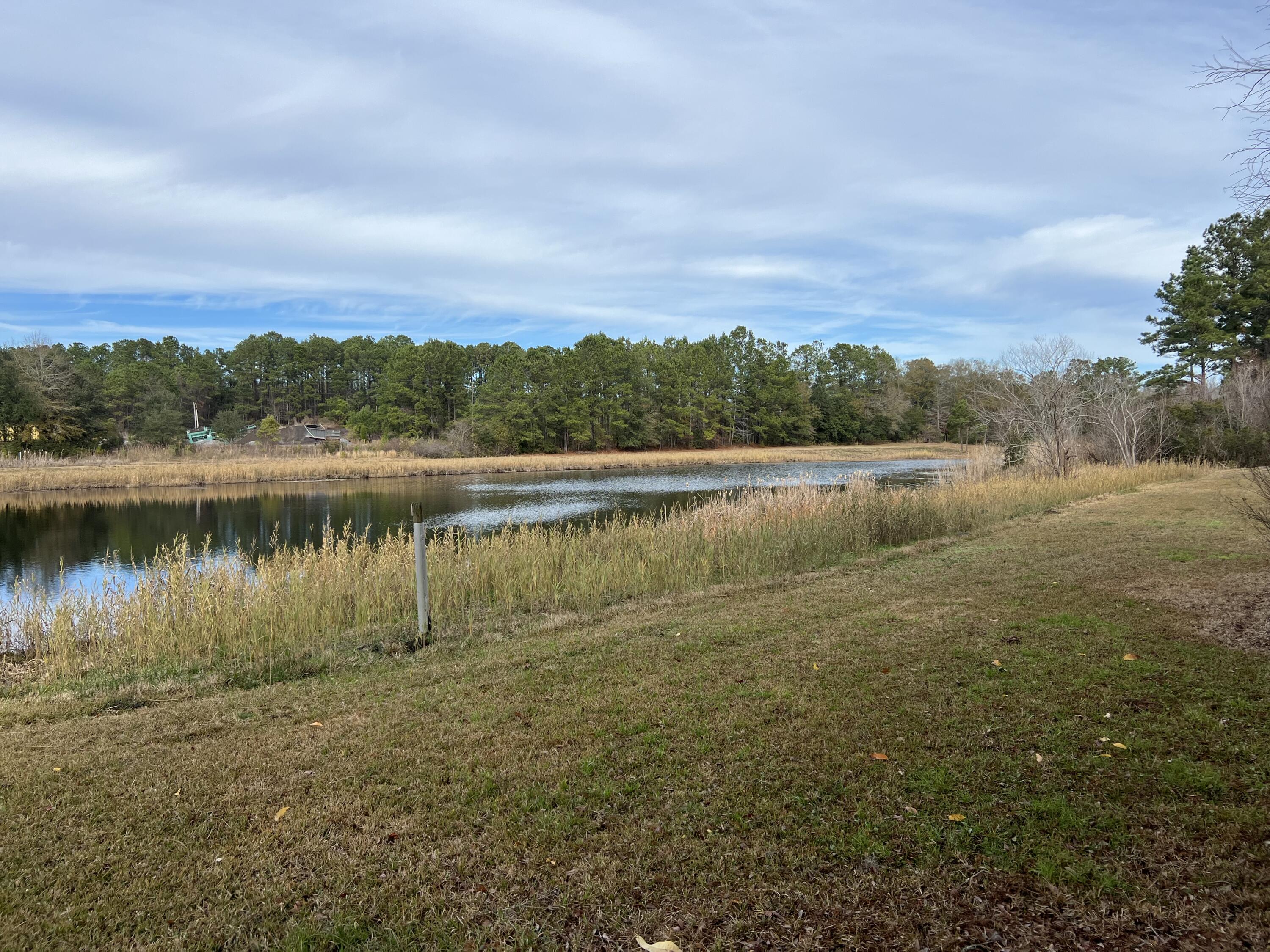 1566 Alligator Road