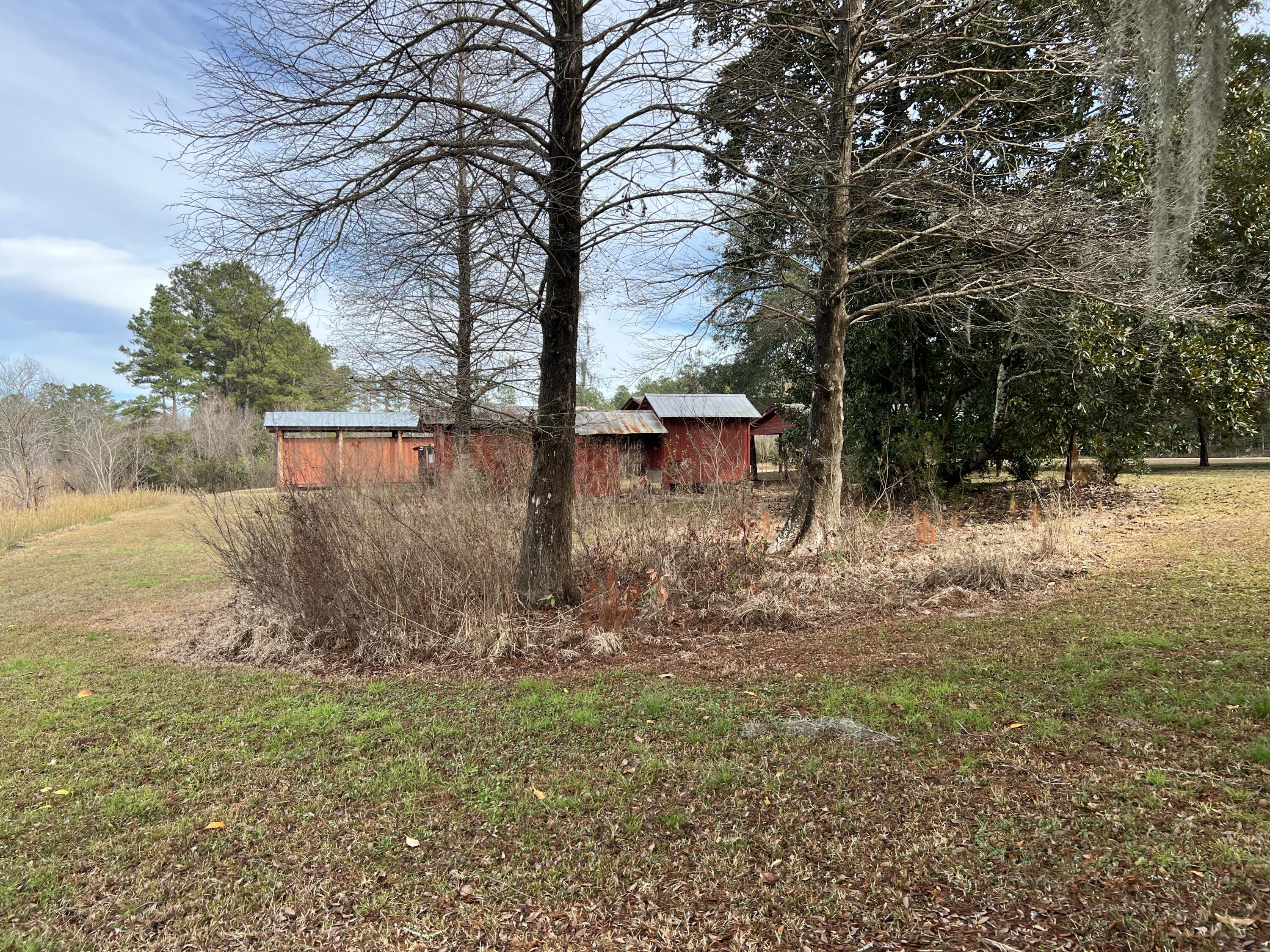 1566 Alligator Road