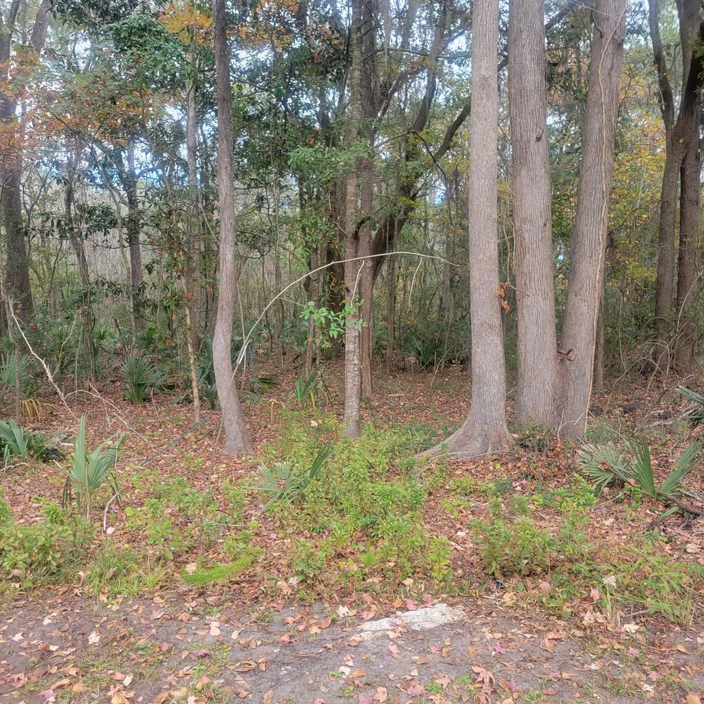 Photo of 000 Murraywood Road, Johns Island, SC 29455 (MLS # 24031314)