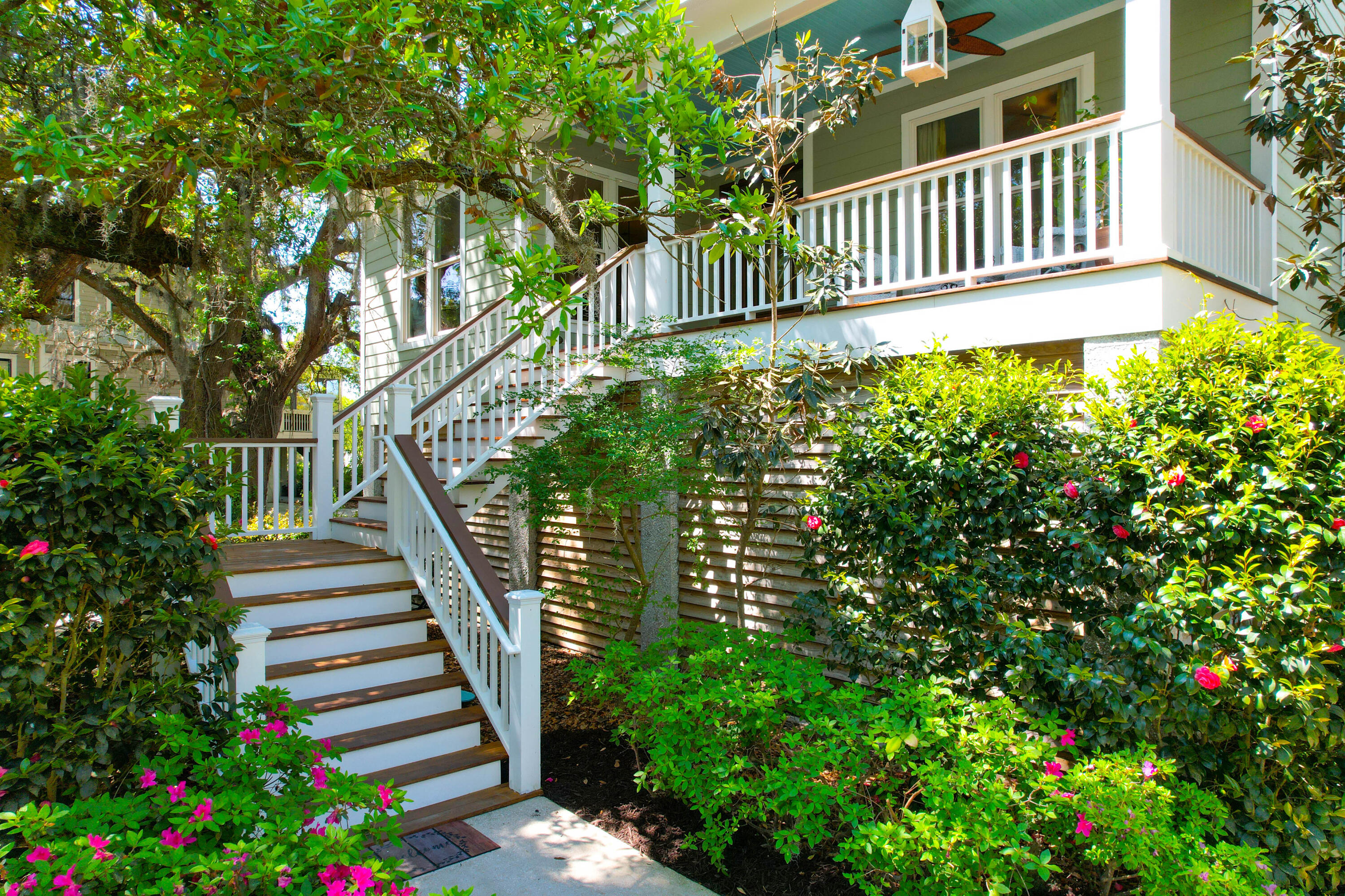 29 Morrison Avenue