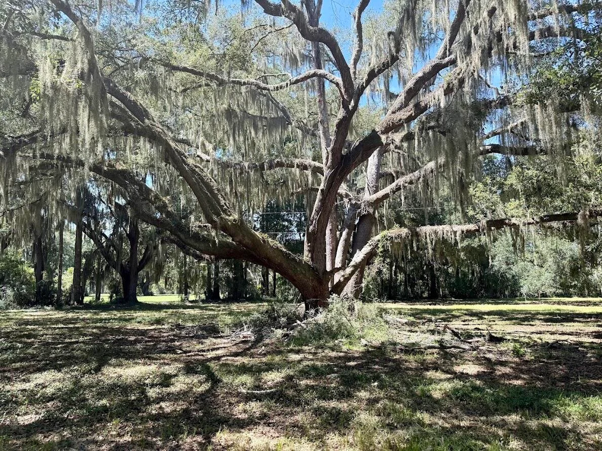 7817 Little Britton Road (lot A-3) Rd, Meggett, SC, 29449