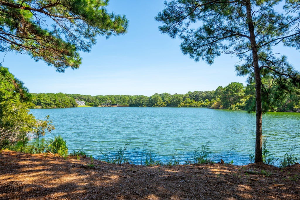 Photo of 4031 Gnarled Oaks Lane, Johns Island, SC 29455 (MLS # 26026633)