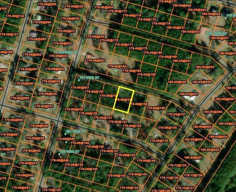 0 Austin Drive Walterboro SC 29488