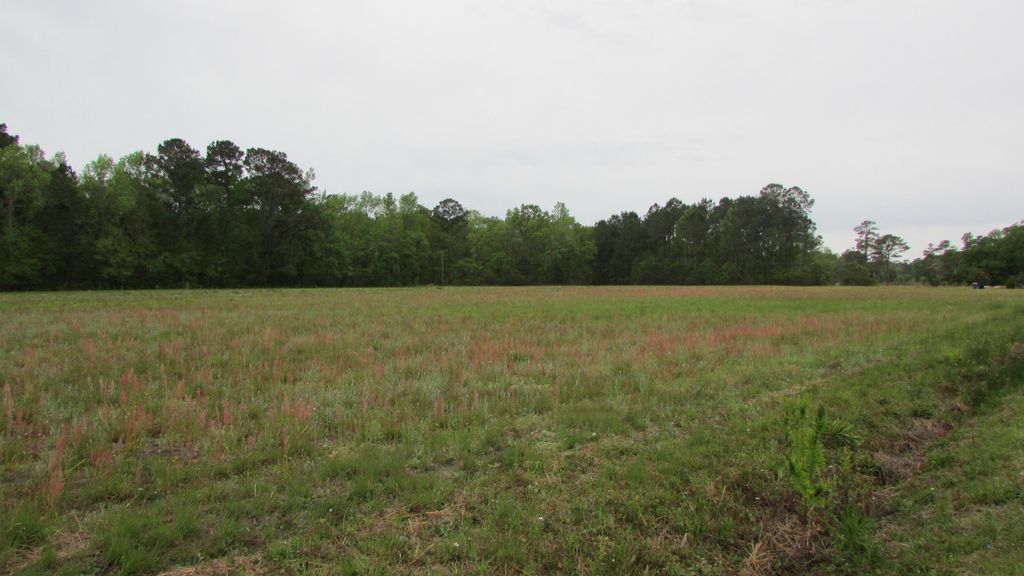Photo of 0 Benjamin Road, Johns Island, SC 29455 (MLS # 23007249)