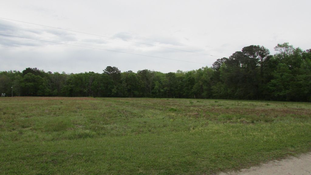Photo of 0 Benjamin Road, Johns Island, SC 29455 (MLS # 23007249)