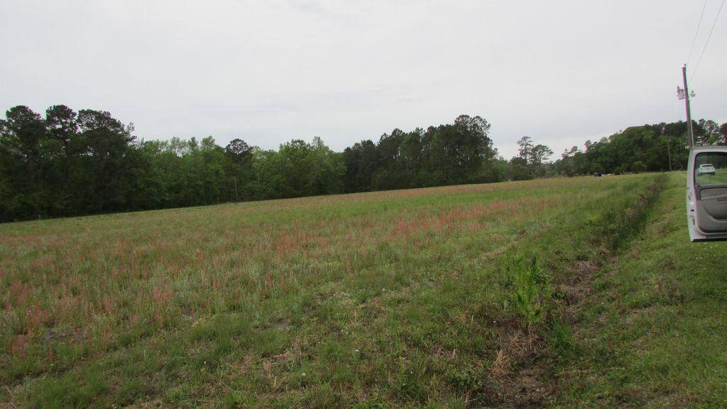 Photo of 0 Benjamin Road, Johns Island, SC 29455 (MLS # 23007249)