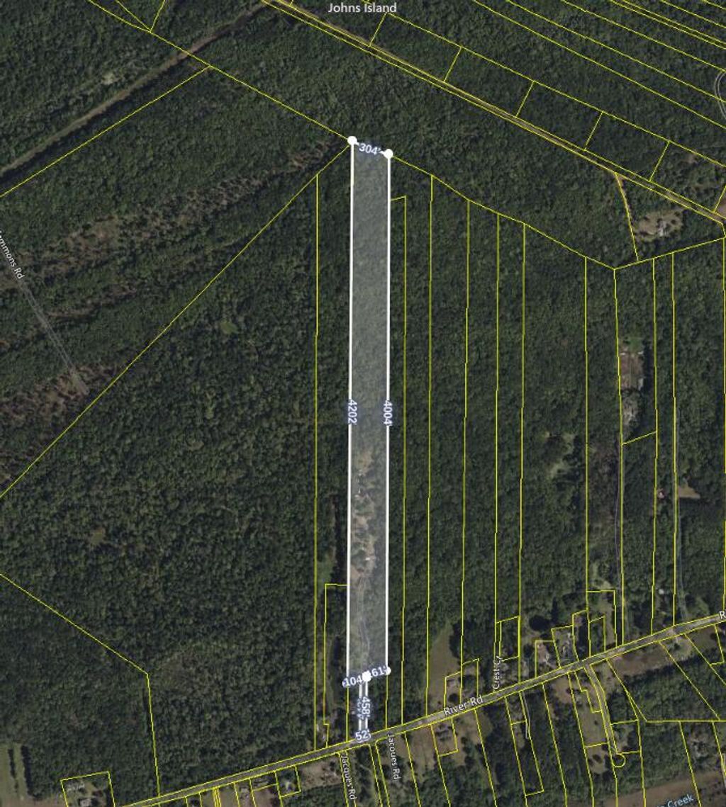 Photo of 4294 River Road, Johns Island, SC 29455 (MLS # 25013632)