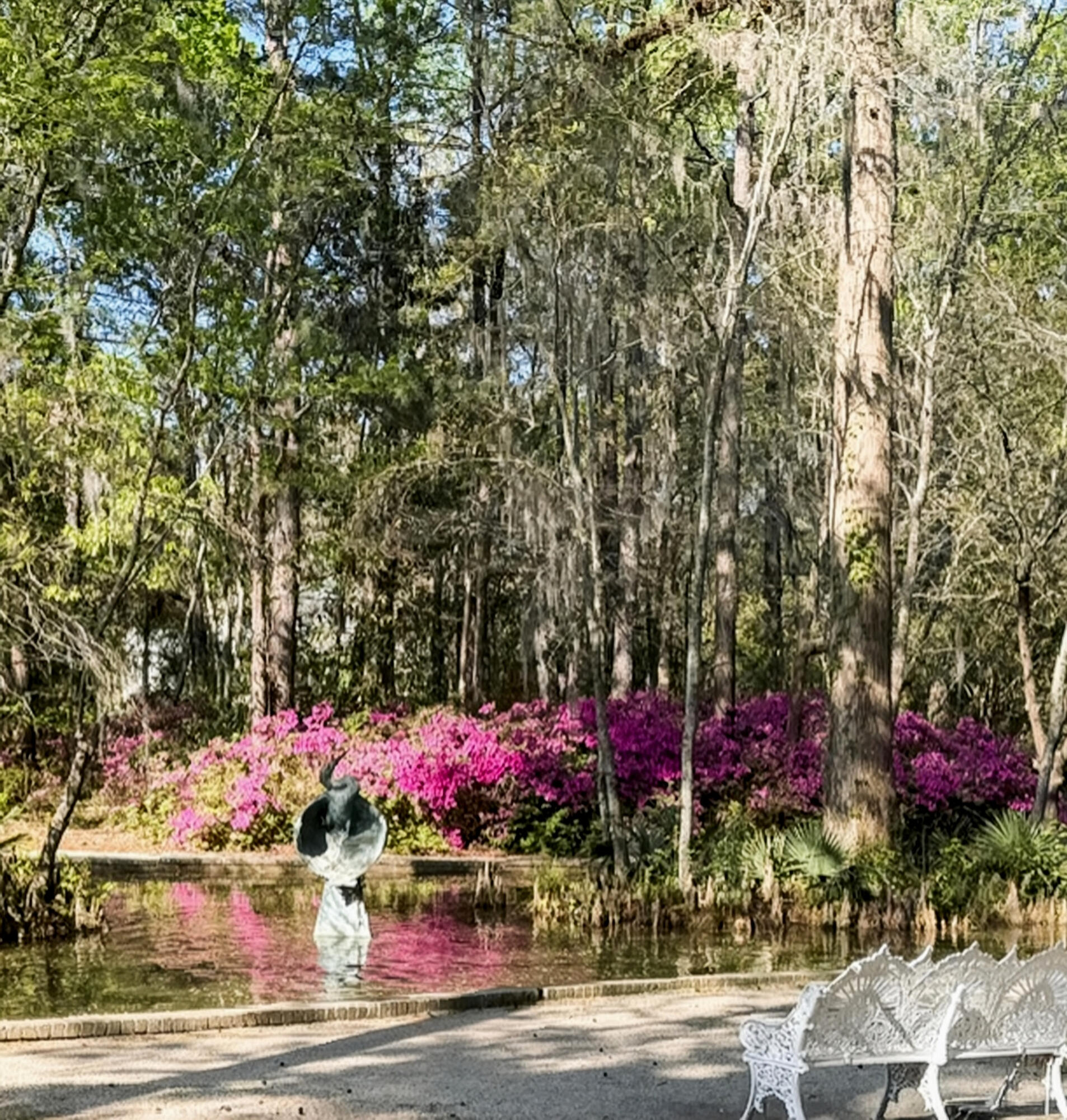 Summerville, South Carolina, 29483, United States, 6 Bedrooms Bedrooms, ,6 BathroomsBathrooms,Residential,Active,2030598