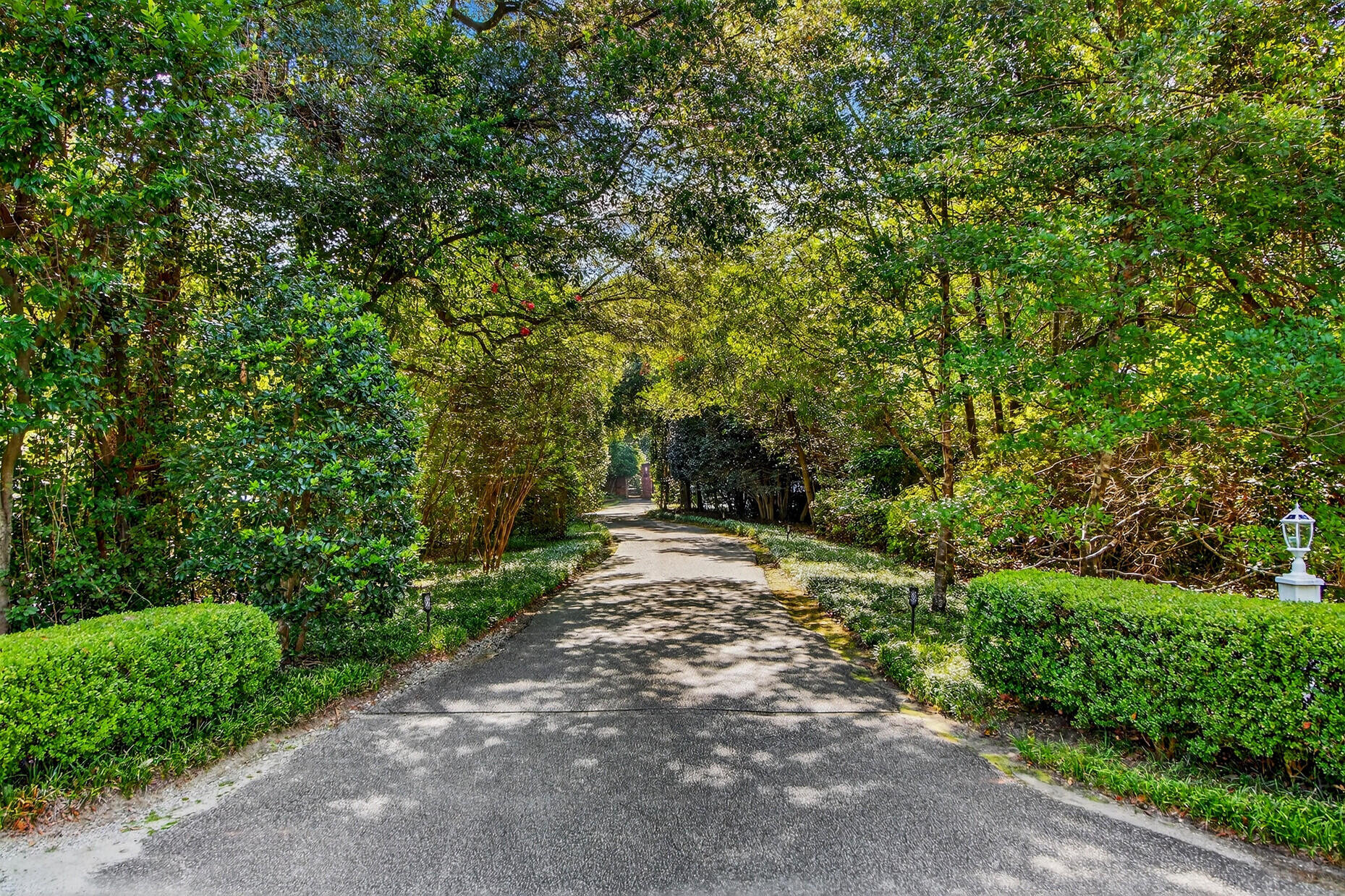Summerville, South Carolina, 29483, United States, 6 Bedrooms Bedrooms, ,6 BathroomsBathrooms,Residential,Active,2030598
