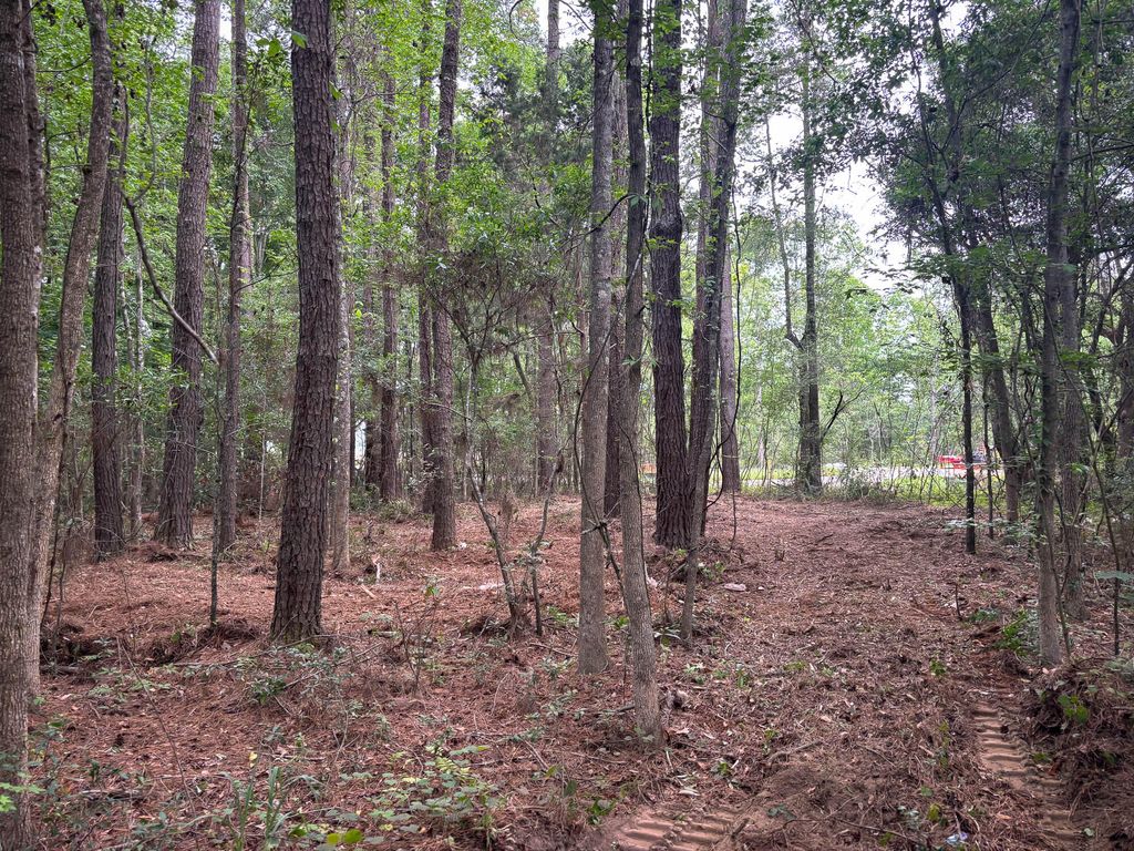 Photo of 0 River Road #A-2, Johns Island, SC 29455 (MLS # 26014483)