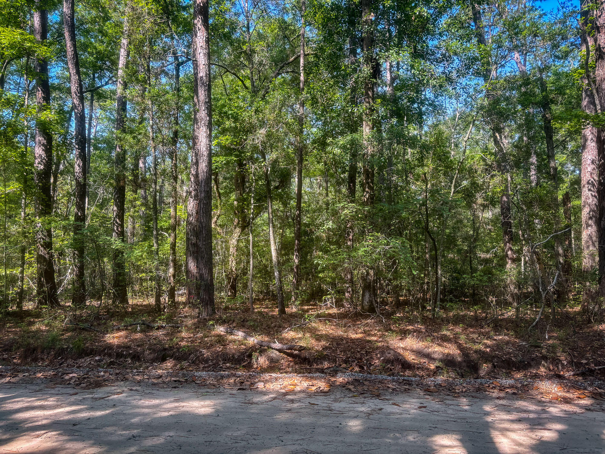 2109 Leadenwah Drive