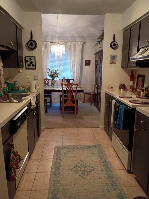 1158 Village Creek Lane 3