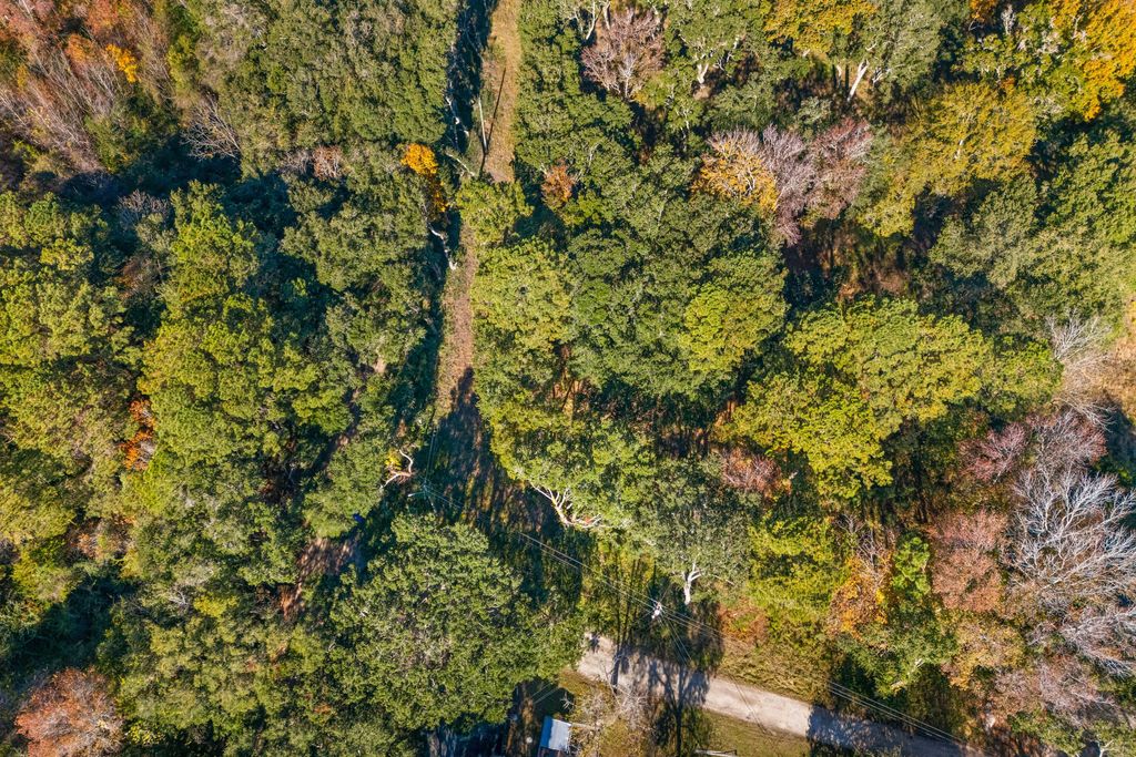 Photo of 1872 Arsburn Road, Charleston, SC 29412 (MLS # 26001850)