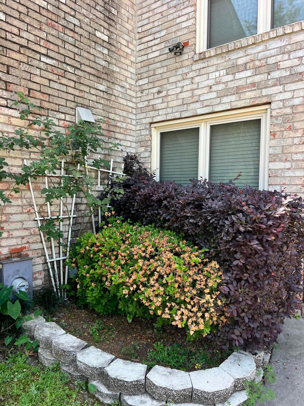 Photo of 7 Brighton Circle, Charleston, SC 29414 (MLS # 26011172)