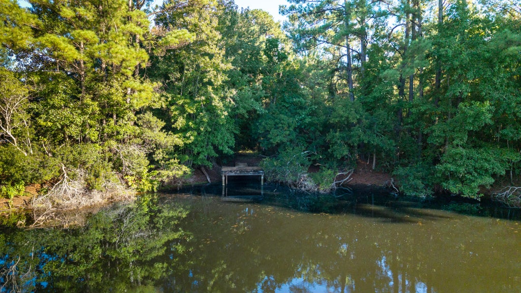 Photo of 000 Hazelhurst Lane, Ravenel, SC 29470 (MLS # 26027150)