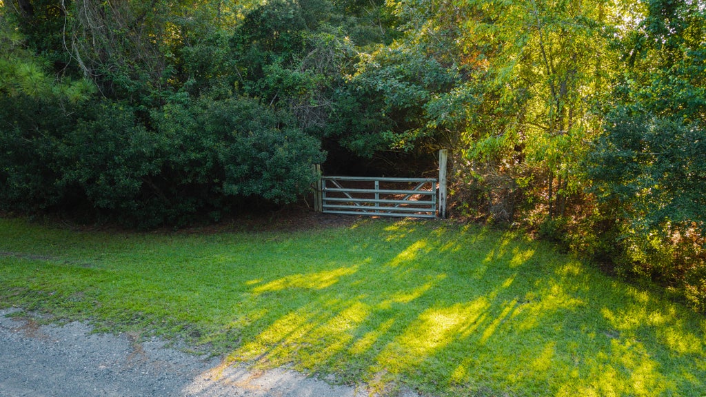 Photo of 000 Hazelhurst Lane, Ravenel, SC 29470 (MLS # 26027150)