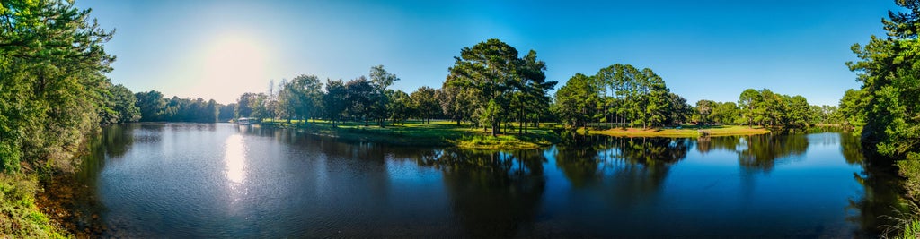 Photo of 000 Hazelhurst Lane, Ravenel, SC 29470 (MLS # 26027150)