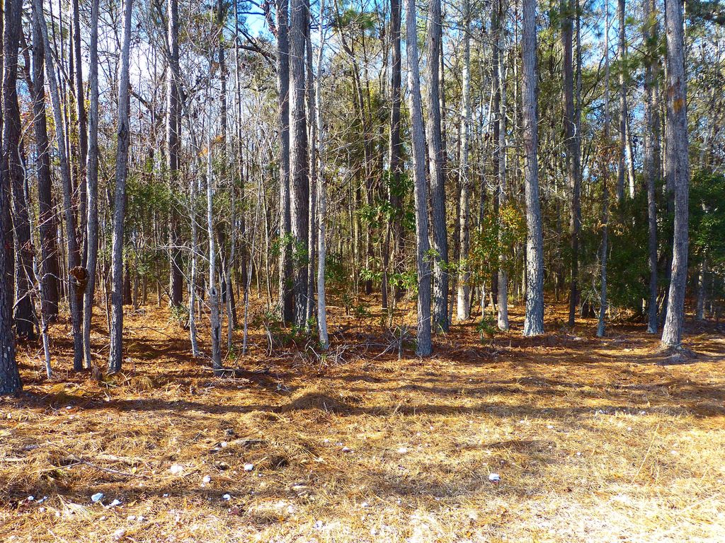 Photo of 123 State Road, Summerville, SC 29486 (MLS # 26000141)