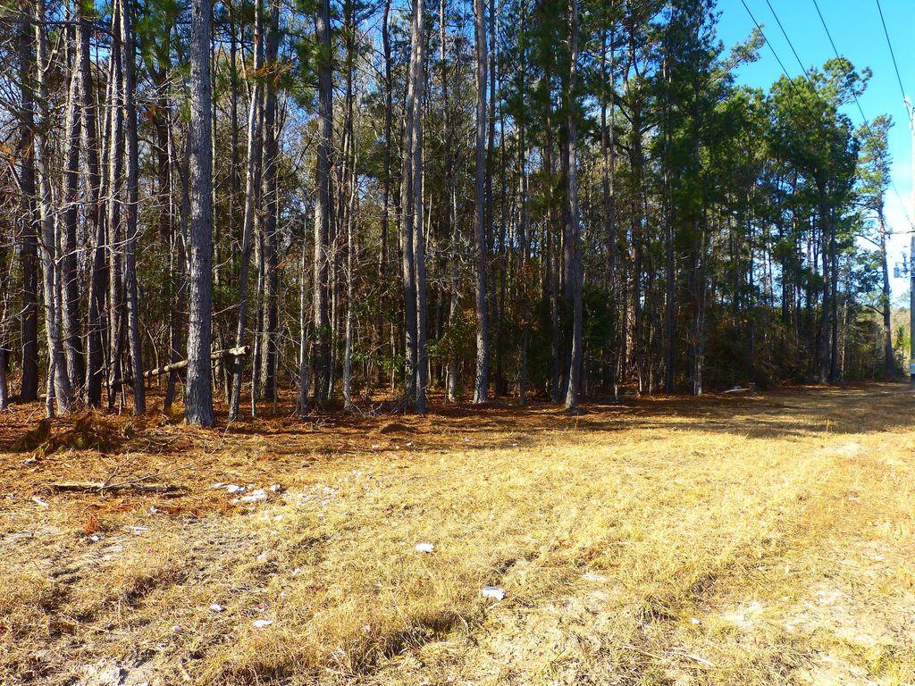 Photo of 123 State Road, Summerville, SC 29486 (MLS # 26000141)