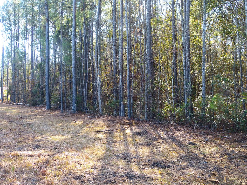 Photo of 123 State Road, Summerville, SC 29486 (MLS # 26000141)