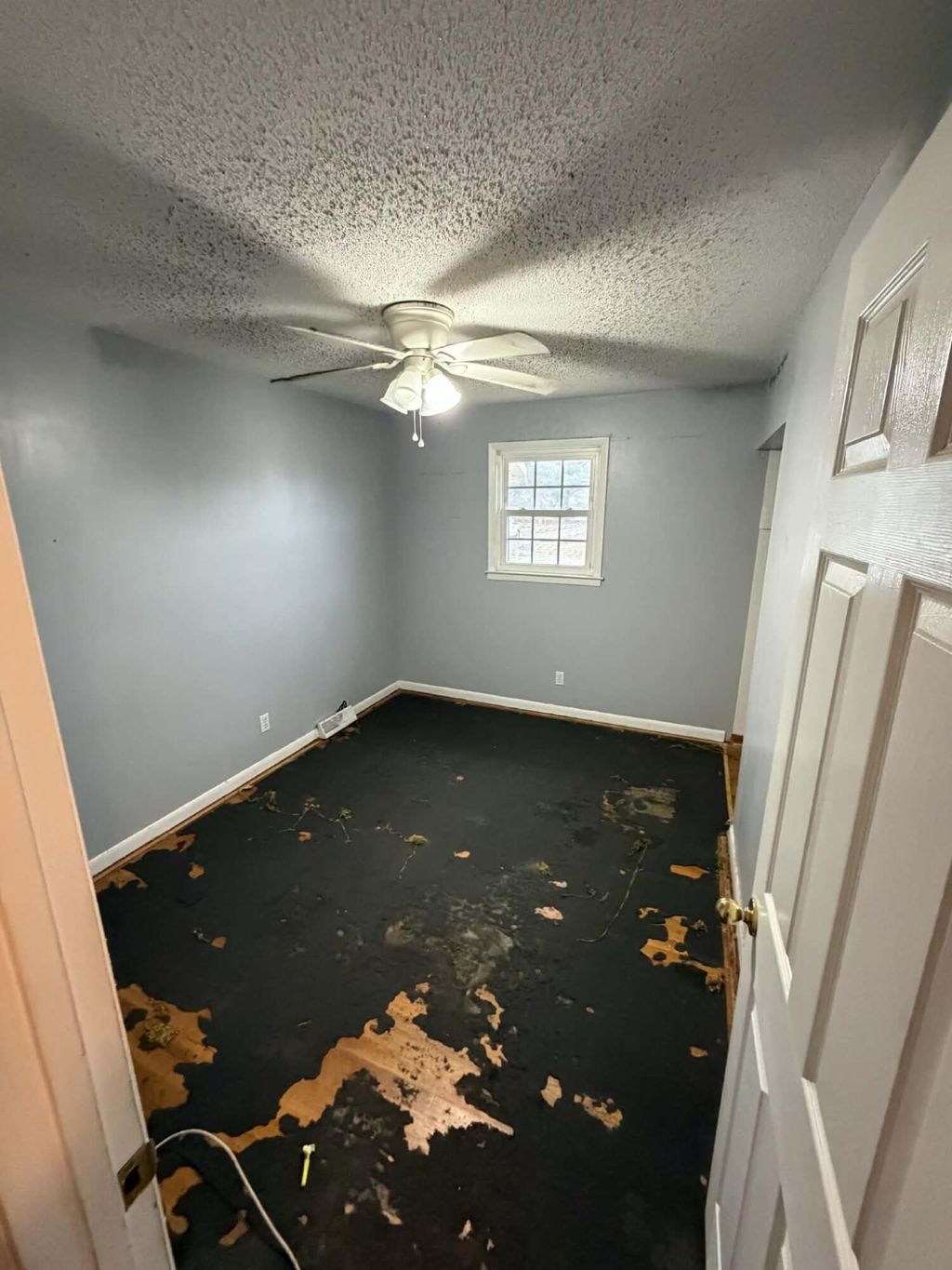 Photo of 3871 Karen Drive, North Charleston, SC 29405 (MLS # 26005643)