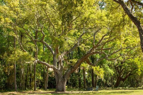 A home in Johns Island