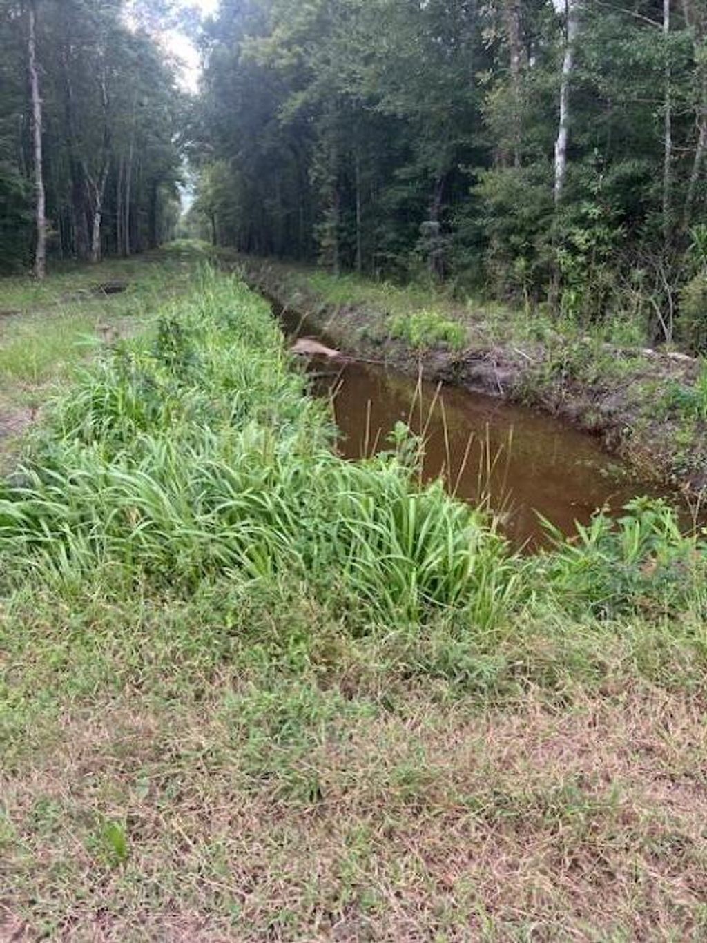Photo of 6572 N Hwy 17, Awendaw, SC 29429 (MLS # 24024169)