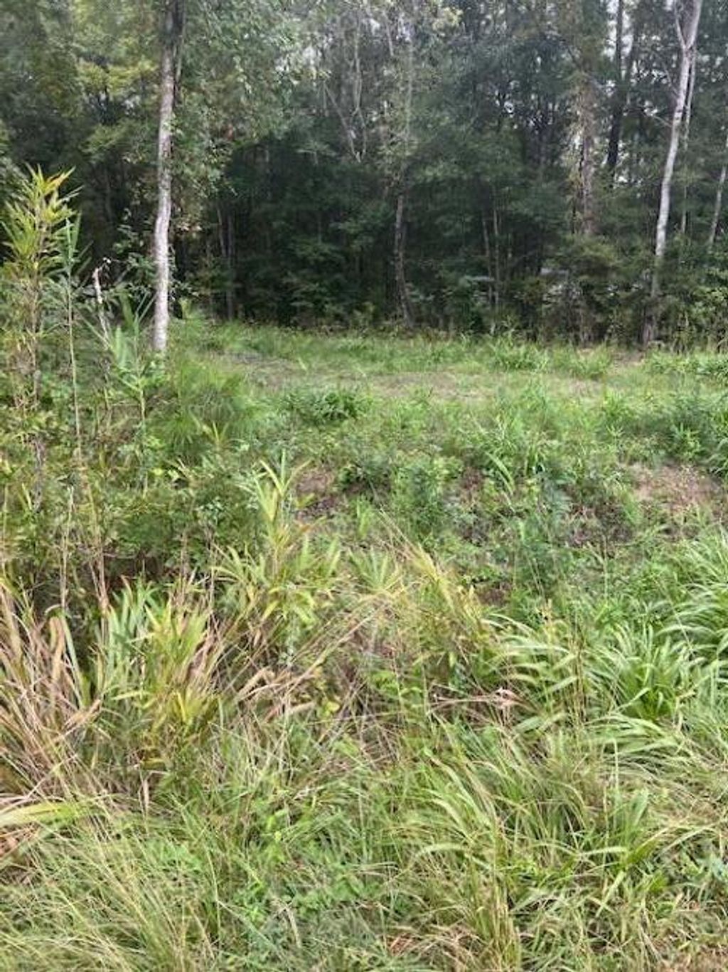 Photo of 6572 N Hwy 17, Awendaw, SC 29429 (MLS # 24024169)