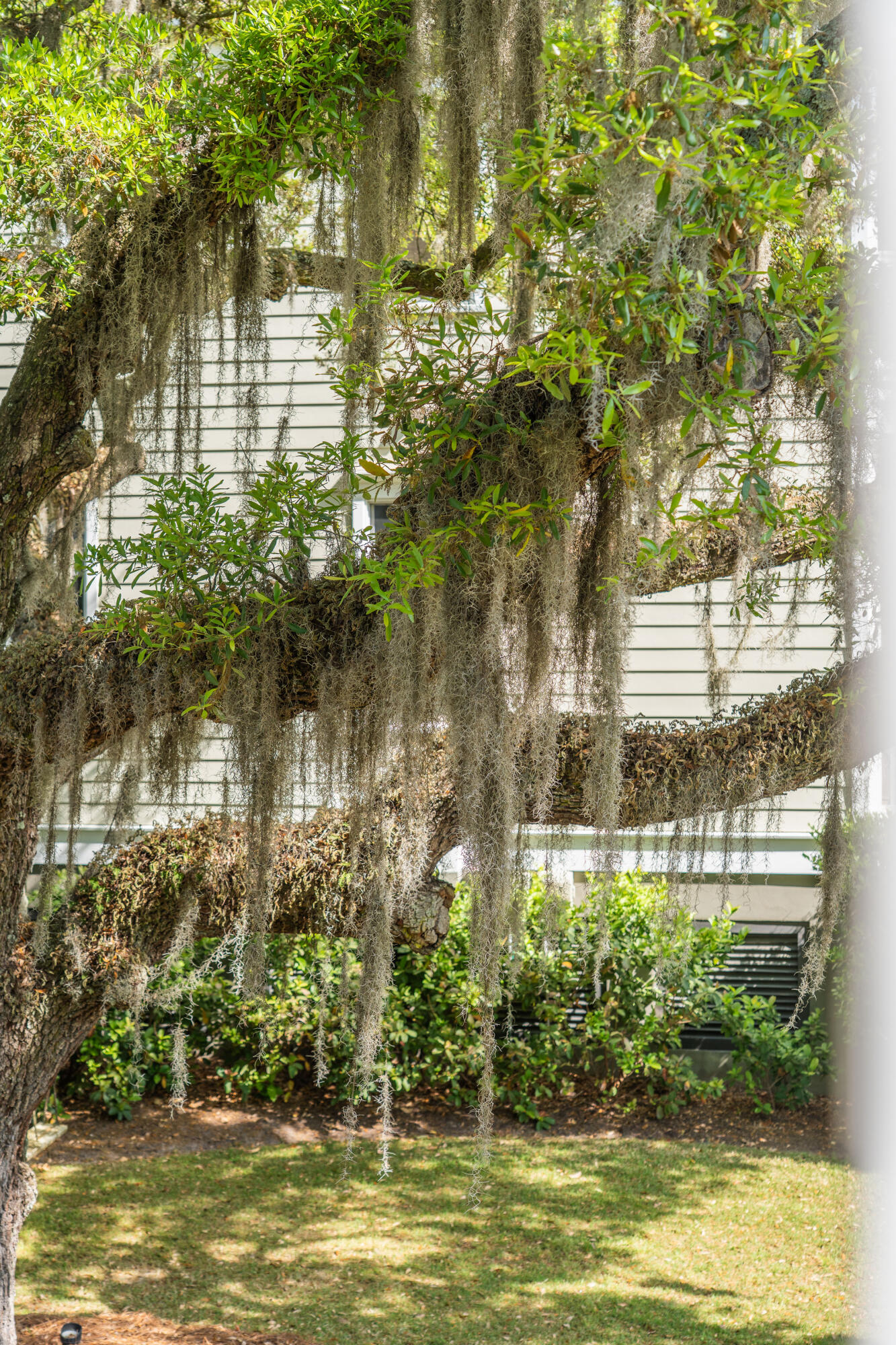 164 River Green Place