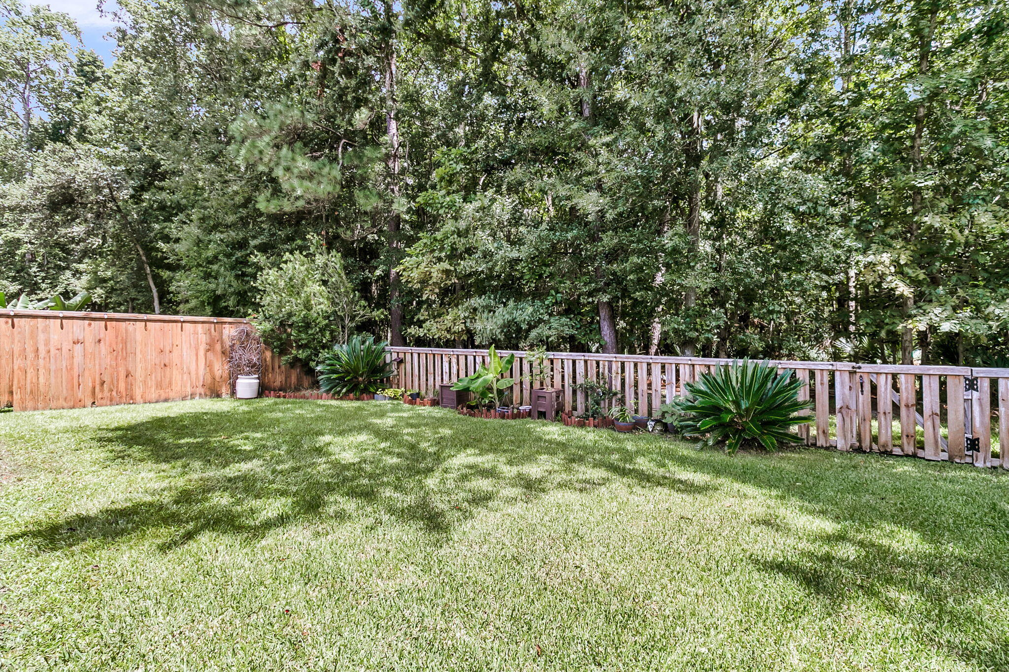 1517 Oldenburg Drive