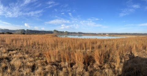 765 Percy Lane Ridgeville SC 29472