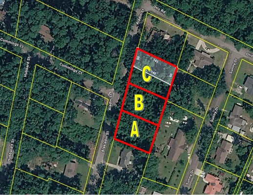 0-B ALADIN STREET, WALTERBORO, SC 29488 - Image 2b6702e518f4eab8f6c3be10f81ee764/4238421596