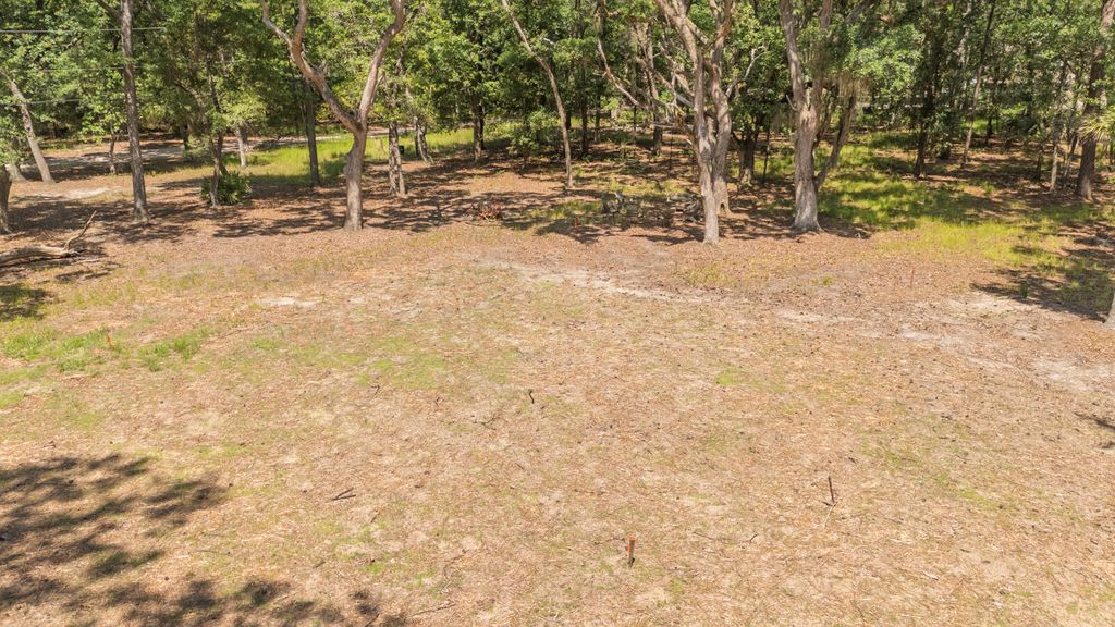 Photo of 31 Tupelo Trail, Edisto Island, SC 29438 (MLS # 25017171)